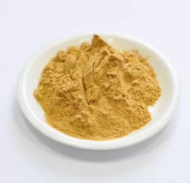 Сухой экстракт астрагала - полисахариды 16% (корень) (лат. Astralagus membranaceus)
